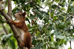 开云体育登录-乌克兰对阵美国，拉亚一夫当关，超现实扑救点燃绿茵传奇