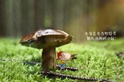 开云平台-班凯罗统治全场，国王主场狂胜76人无悬念