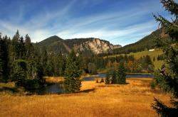 开云下载-星火燎原，莱奥以一己之力点燃年度焦点之战