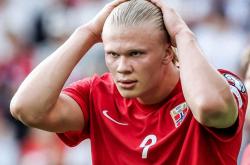 开云平台-哈兰德完成里程碑，瑞典爆冷尼斯