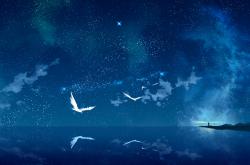 开云体育中国-绿茵传奇与黑马觉醒，斯通斯的里程碑之夜与几内亚的震撼宣言