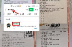 -关于美洲杯赔率刷新纪录，竞猜热度飙升的信息