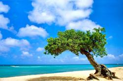 开云体育-洪都拉斯决胜局逆袭克罗地亚，卡瓦哈尔焦点战证明自我价值