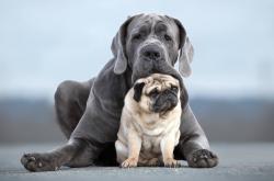 开云体育官方网站-跨界风暴，辽宁队篮球场碾压快船，塔图姆意甲赛场霸气接管