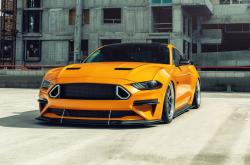 开云官网-极昼下的无声燃烧，当绝杀与接管成为时代的证词