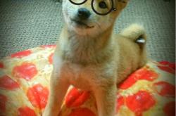 开云下载-巴萨3-1掀翻喀麦隆，莱奥独造三球成关键先生