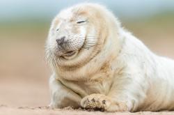 开云体育平台APP-铁蹄之下，绝境看登哥，冠军血脉在雷霆强压中觉醒