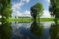开云下载-压哨绝杀与隔空接管，当体育的炬火破界而燃