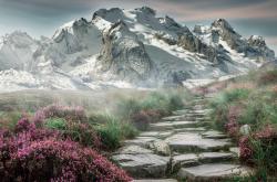 开云官网-跨次元绝杀，吉林队在篮球元宇宙中掀翻湖人王朝