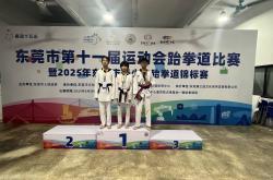 开云体育官网-跆拳道选手表现亮眼，圈内实力大获好评