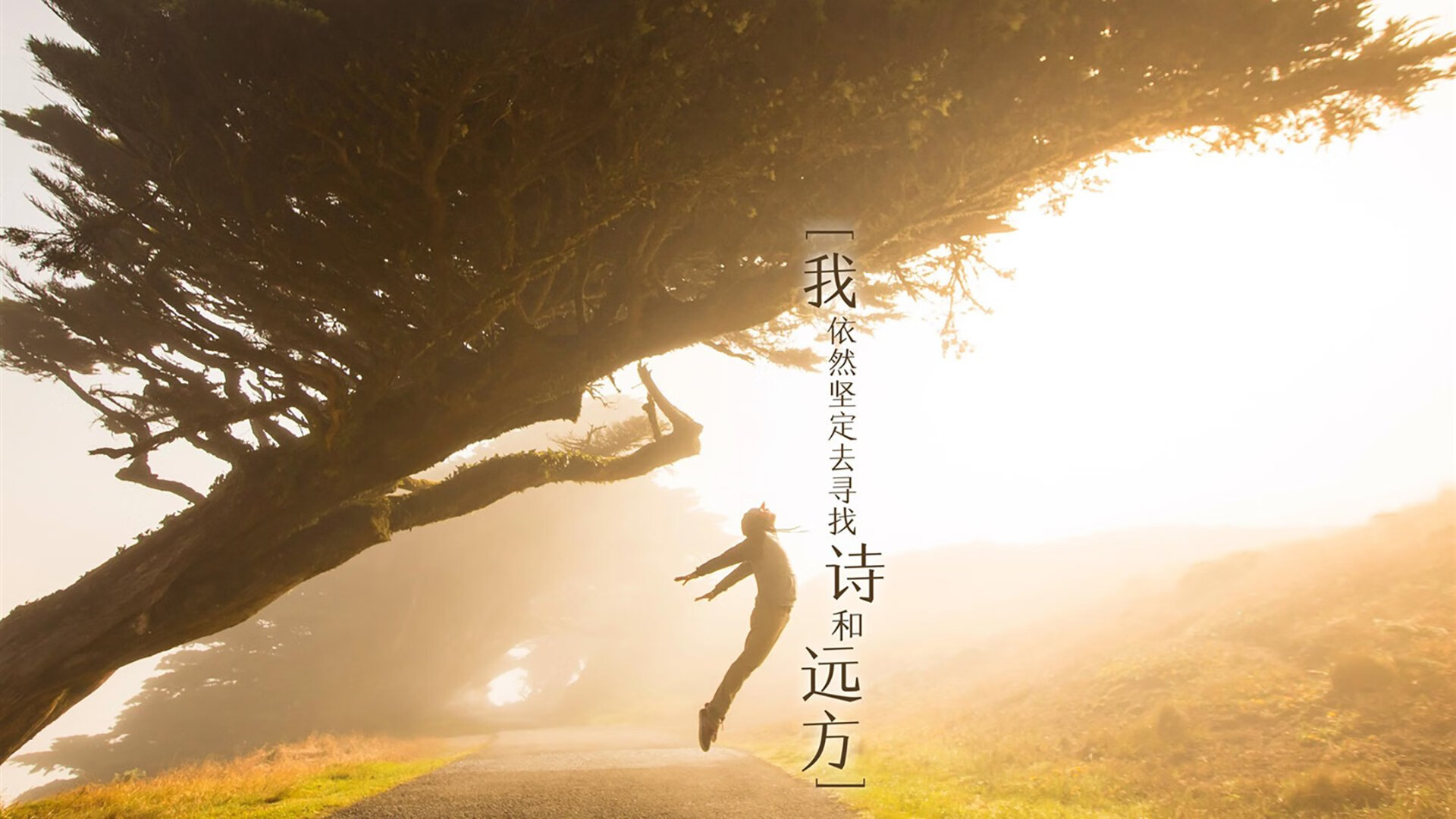 红与蓝，从基辅到堪培拉，一颗足球如何承载世界的呼喊