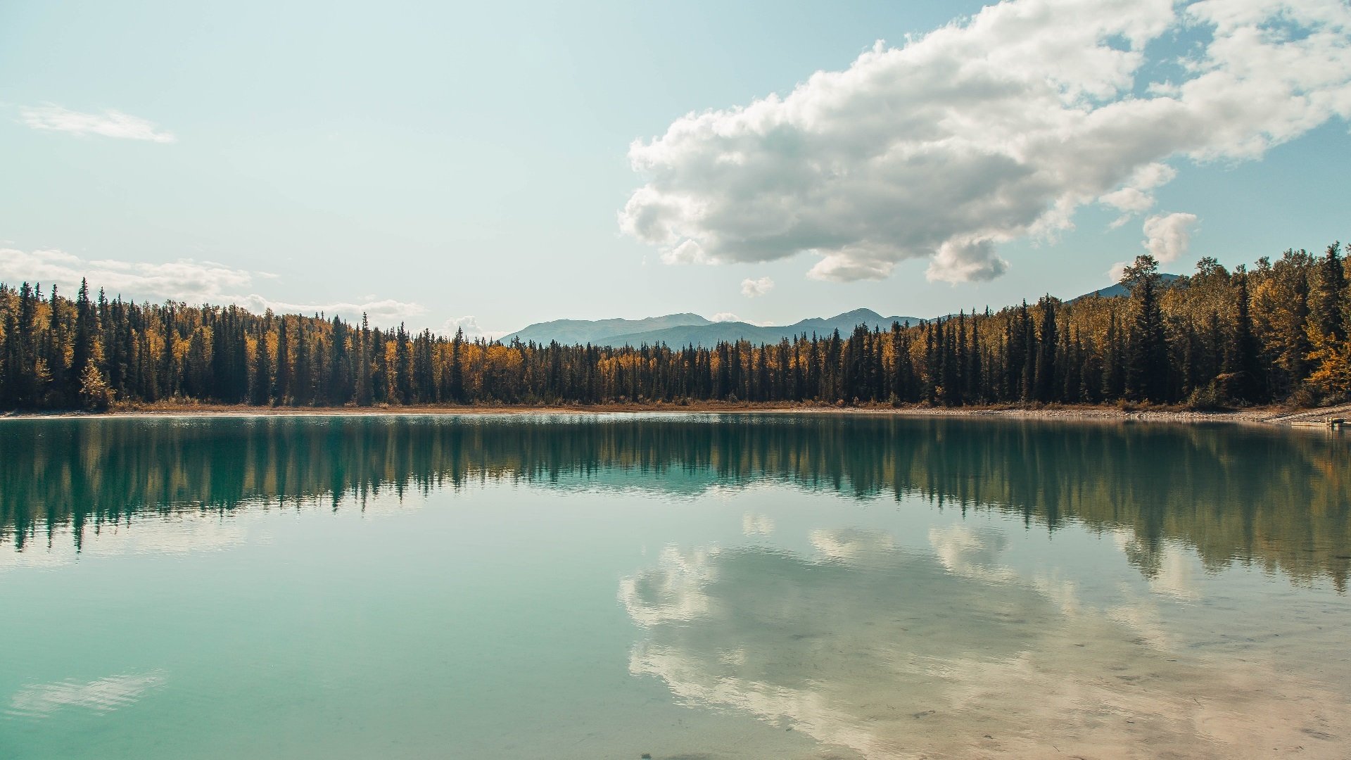 双线战场,王者交锋,从西甲国家德比到森林狼的胜利之路