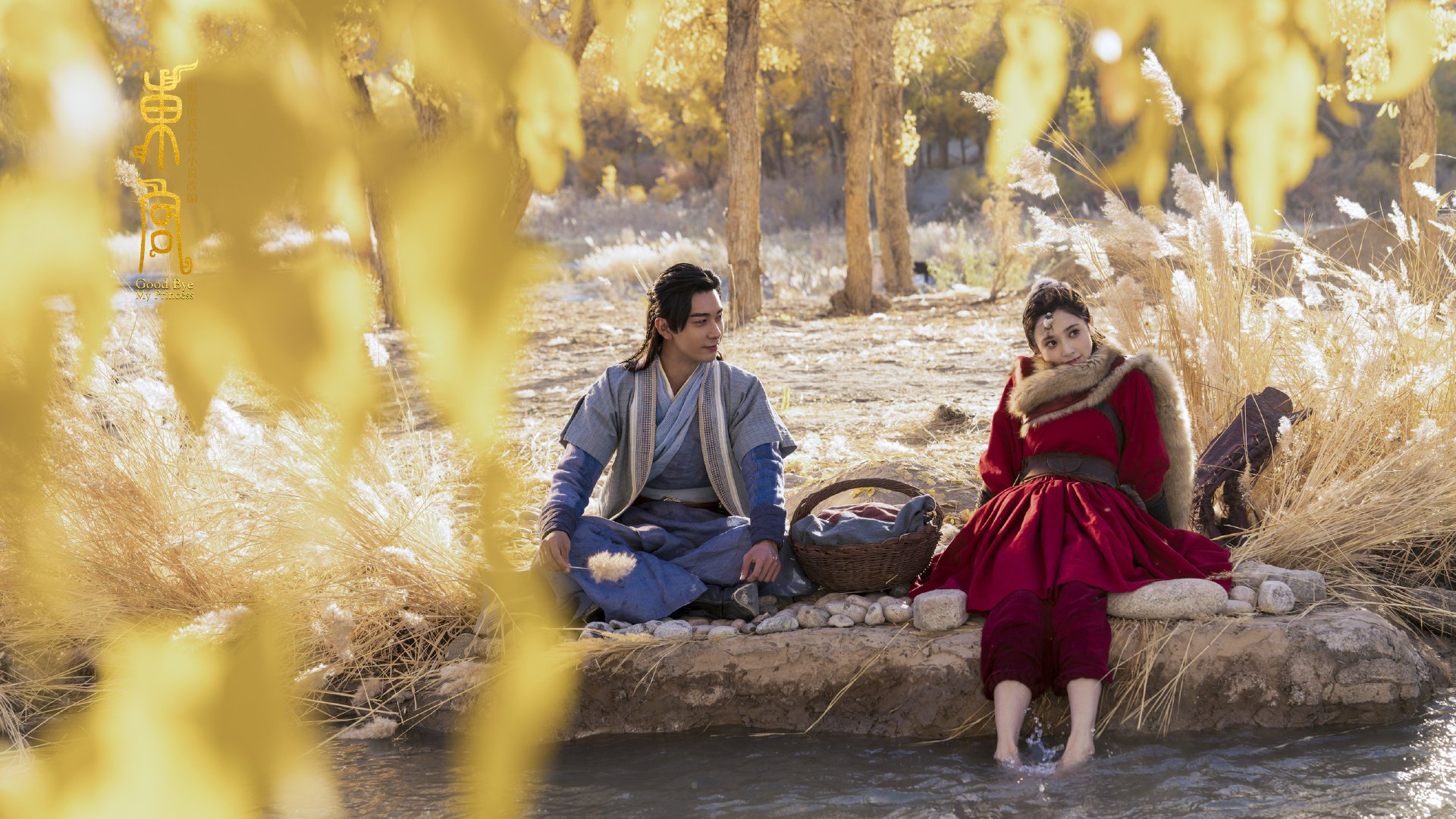 独舞者的画布，当戈麦斯在哥伦比亚与西班牙的暗夜棋局中涂抹天才