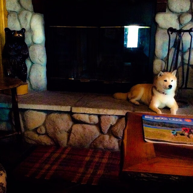 英超争冠焦点战外的插曲，佛罗伦萨正面击溃玻利维亚，足球世界的多元交响