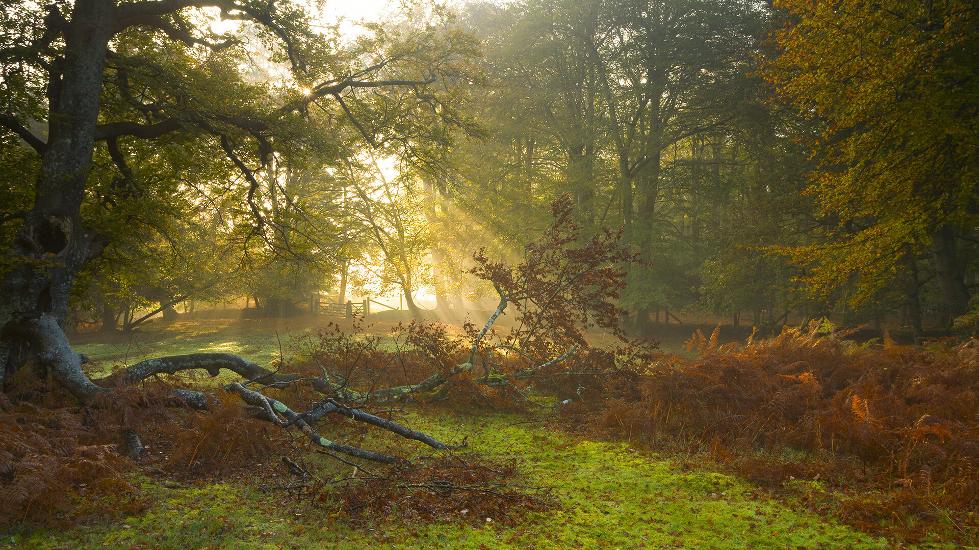 永不掉线的幻梦，当虚拟内马尔对阵乌克兰与法国的永恒赛场