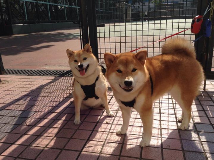 芝加哥公牛客场完胜圣安东尼奥马刺,保罗·乔治持续杀伤奠定胜局