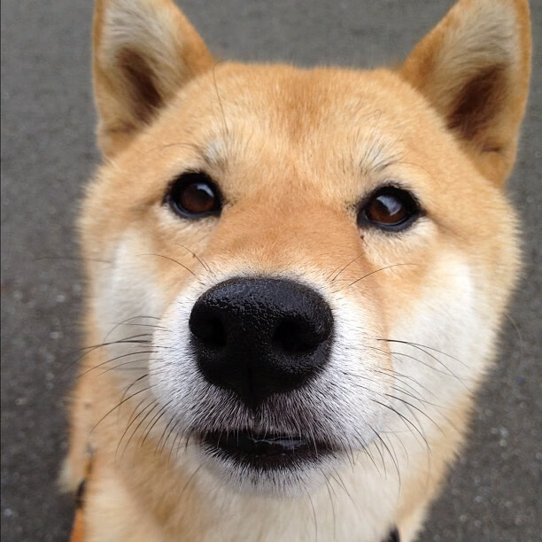 法比尼奥的金字塔尖时刻，当现代绿茵场重现古文明对决