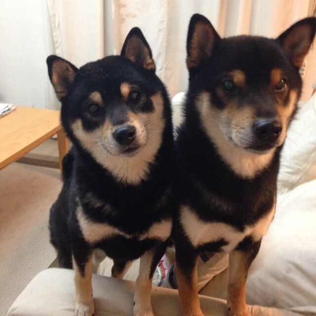 从隐身到封神,爱德华兹用一剑封喉撕掉湖人伪强队标签