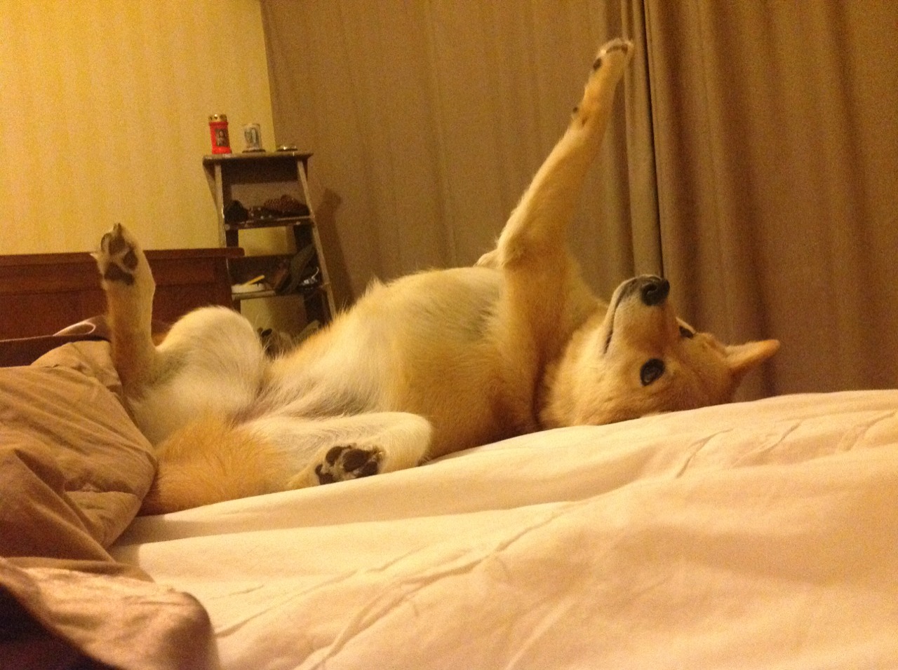 无声处惊雷,当拉梅洛的存在感定义了欧冠决赛的另一种叙事