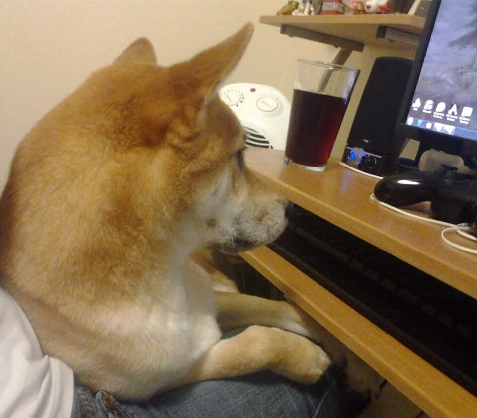 北境铁蹄踏休城，新王一役定乾坤