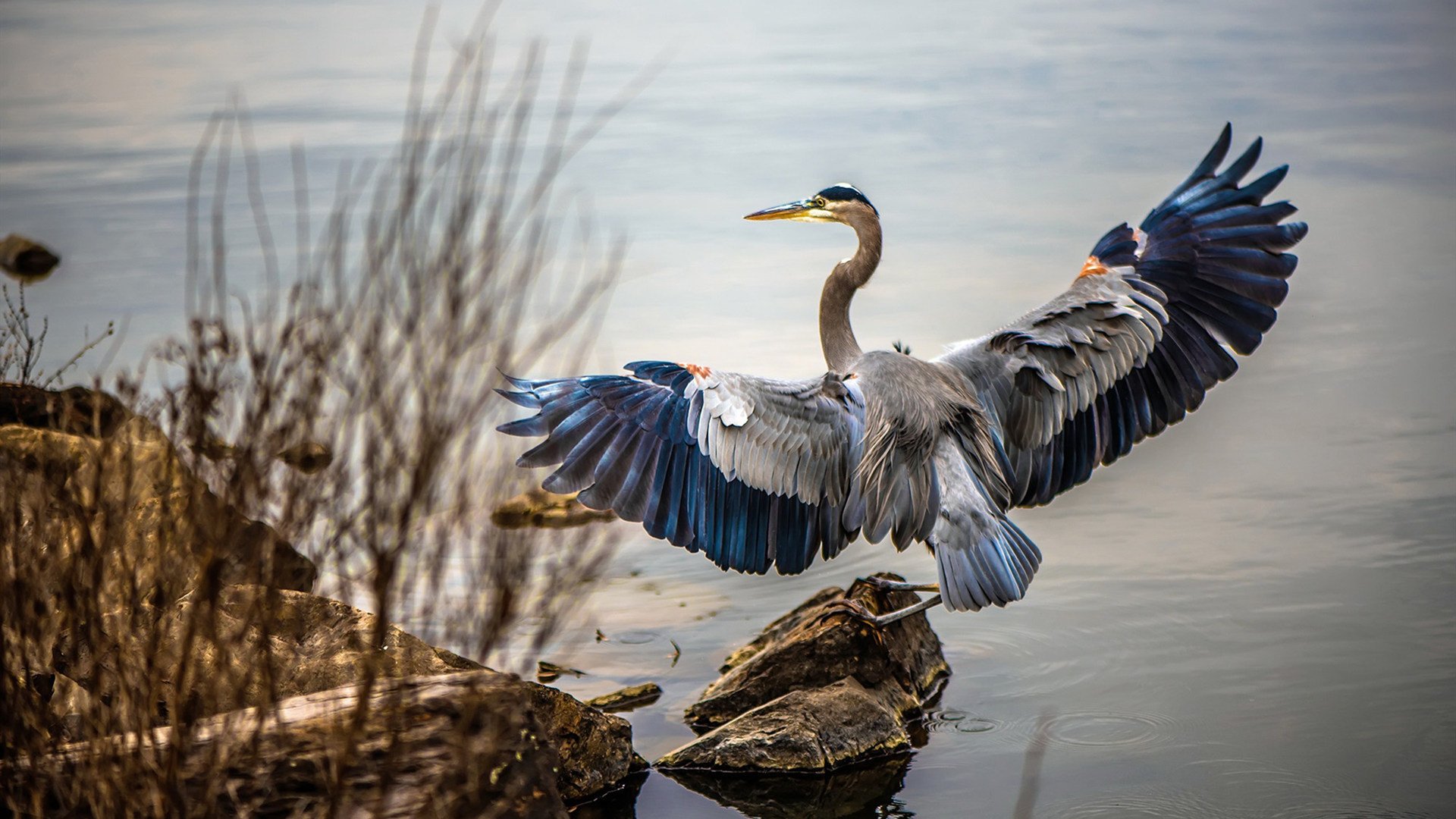 鹈鹕强压勇士，东契奇成为关键先生，小球时代的战术博弈与巨星定式