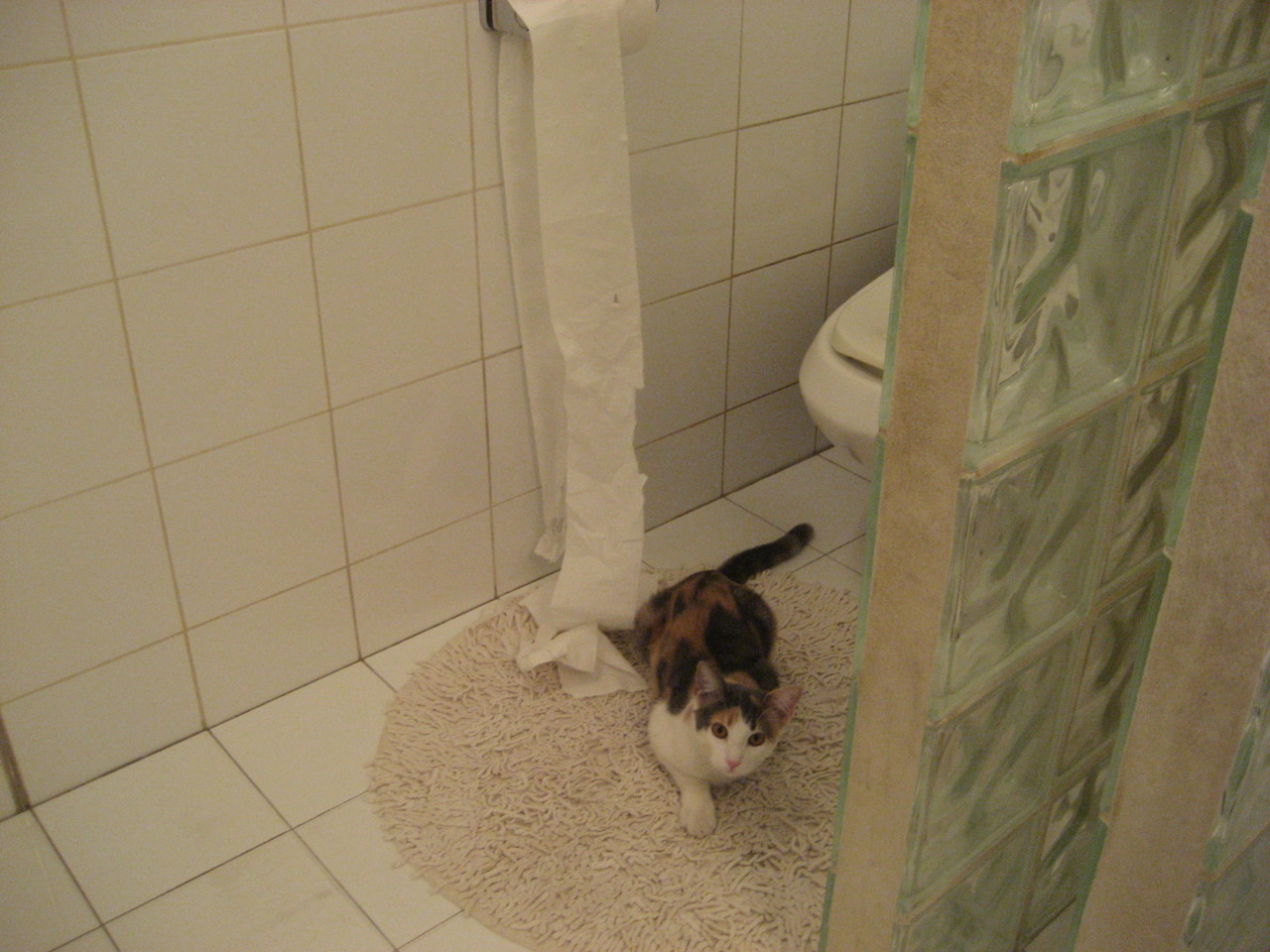 利拉德时刻,当冰封之心融化太阳,步行者悄然制霸联盟