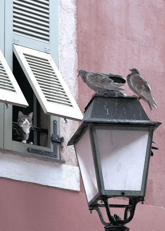 英超争冠之夜,照耀基耶萨的生涯之夜